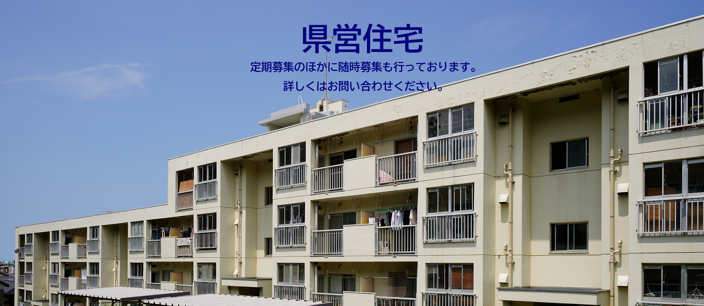 県営住宅について