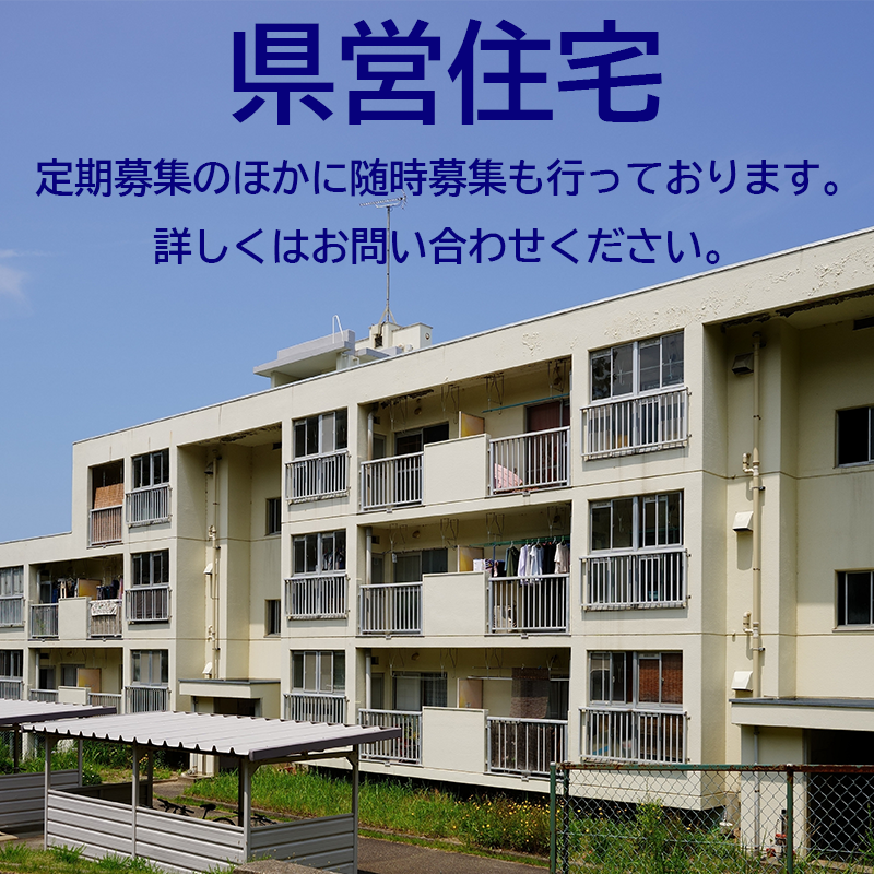 県営住宅について